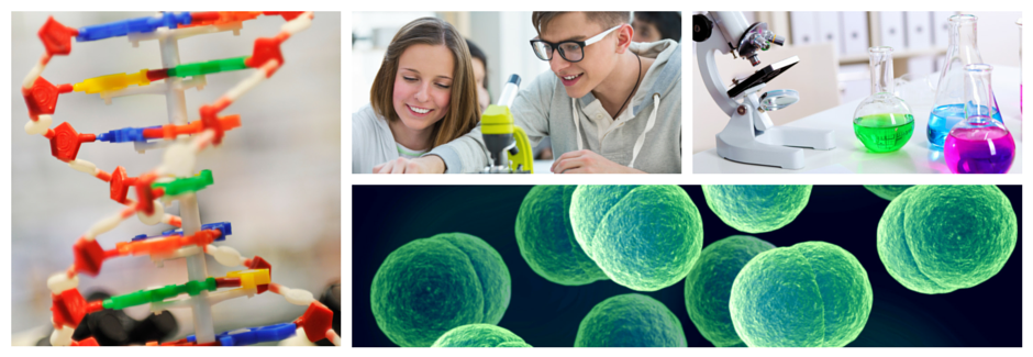 Biology4Teachers - High School Lesson Plans