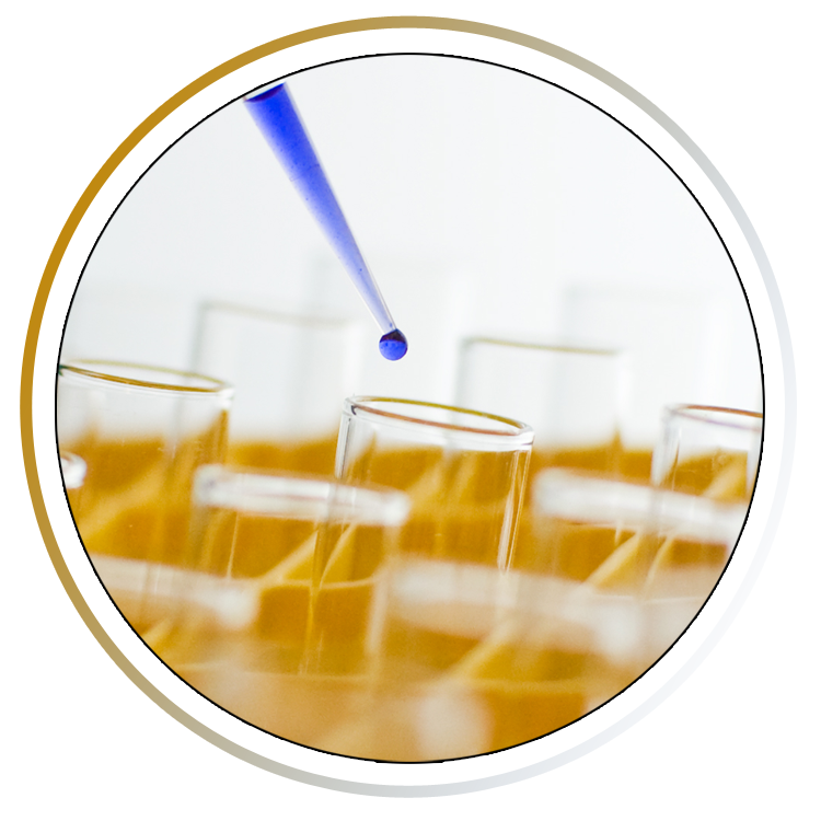 Biology4Teachers - Experimentation