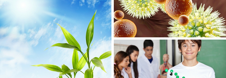Biology 4 Teachers - Photosynthesis